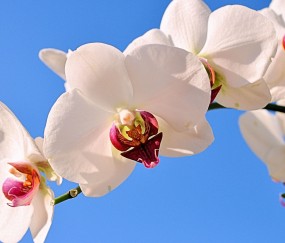 大庆正规助孕捐卵机构，附正规捐卵机构报名表！